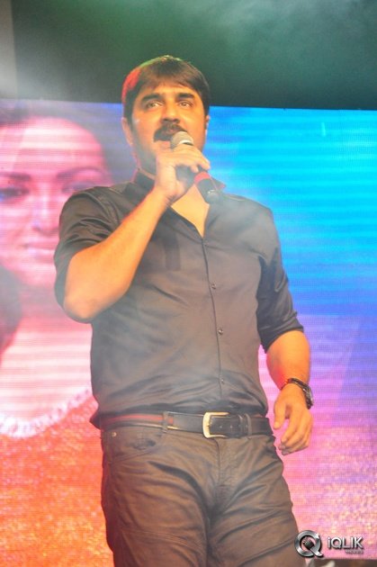 Sarrainodu-Movie-Blockbuster-Function